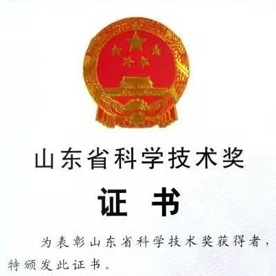 喜訊 | 盛瀚榮獲2020年山東省科學(xué)技術(shù)獎(jiǎng)一等獎(jiǎng)