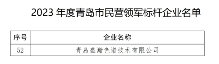 喜訊 | 盛瀚入選2023年度市民營領(lǐng)軍標桿企業(yè)名單